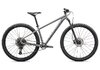 Specialized Rockhopper Expert 29 silver dust/black holographic L