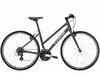 Trek FX 1 Stagger lithium grey M